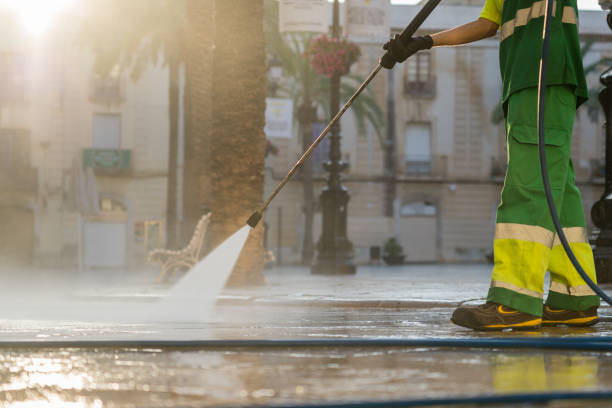 Best Gutter Cleaning and Brightening in West Terre Haute, IN